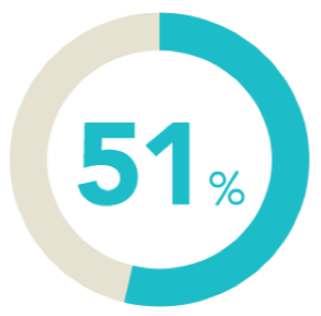51 percent icon