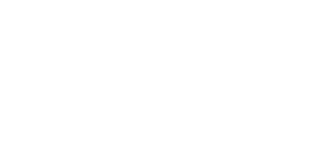 Boehringer Ingelheim logo